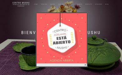 centromushu.es screenshot