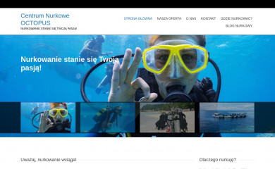 centrum-nurkowe-slask.pl screenshot