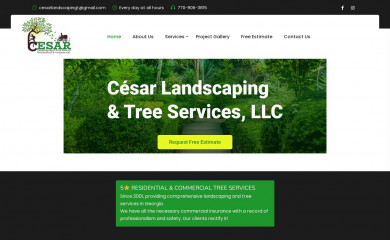 cesarlandscapetreeservices.com screenshot