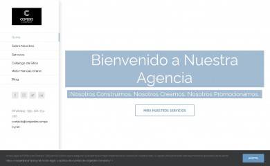 cespedescompany.net screenshot