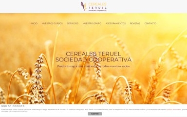 cerealesteruel.com screenshot