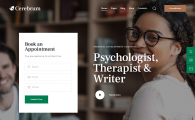 Cerebrum Child Theme screenshot