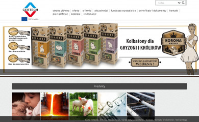certech.com.pl screenshot