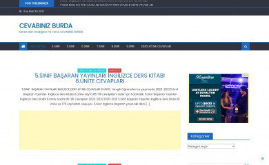 cevabinizburda.com screenshot