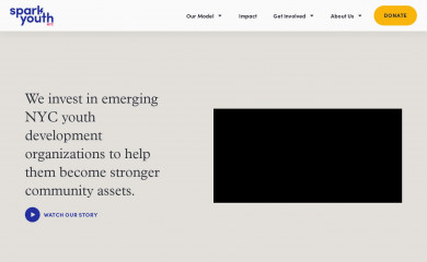 cfgnyc.org screenshot