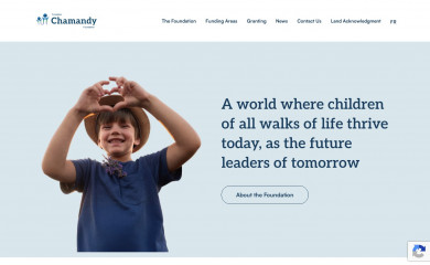 chamandyfoundation.org screenshot