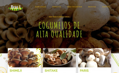 http://chacbrasil.com.br screenshot