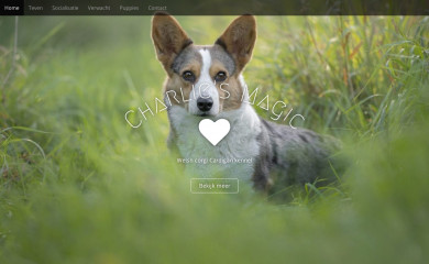 charliesmagic.nl screenshot