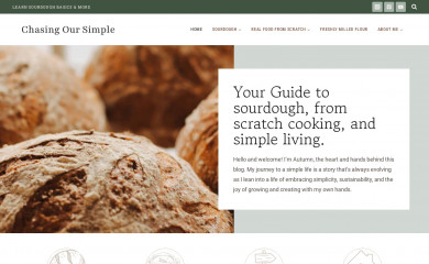 chasingoursimple.com screenshot