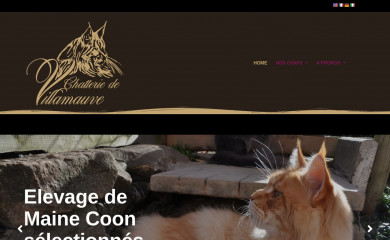 chatteriedevillamauve.com screenshot