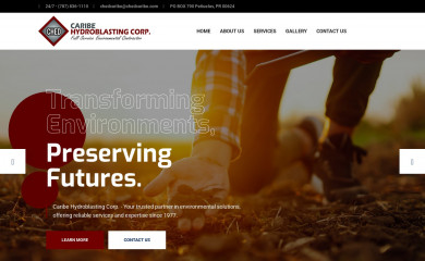 chedcaribe.com screenshot