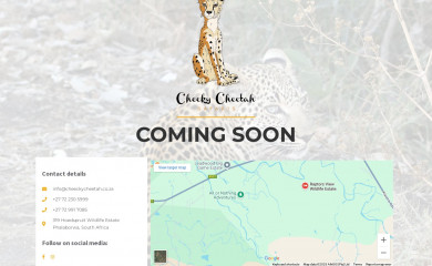 cheekycheetahsafaris.com screenshot