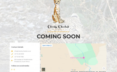 cheekycheetahsafaris.com screenshot