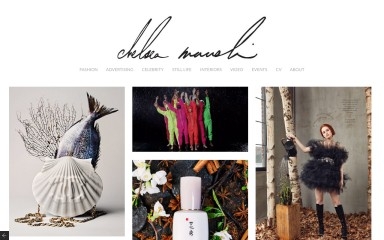 chelseamaruskin.com screenshot