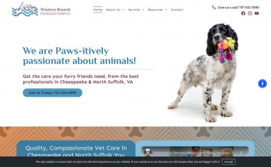 chesapeakeveterinary.com screenshot