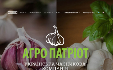 chesnok.in.ua screenshot