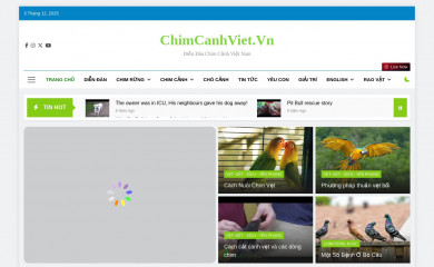 chimcanhviet.vn screenshot
