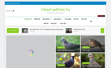 chimcanhviet.vn screenshot