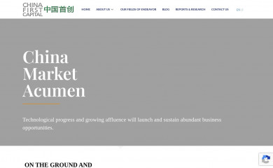 chinafirstcapital.com screenshot