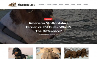 chihulife.com screenshot