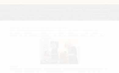 chiquehairandbeauty.nl screenshot