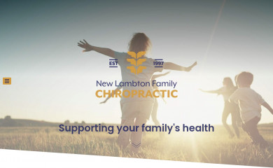 chiropracticnewlambton.com.au screenshot