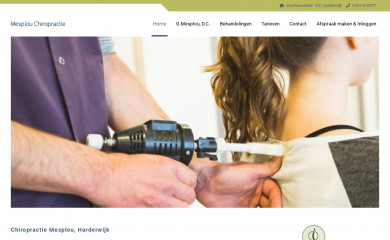 chiropractorharderwijk.nl screenshot