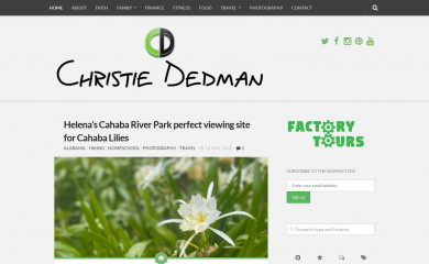 christiededman.com screenshot