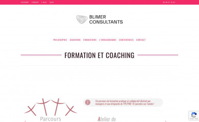 christineblimer-consultants.fr screenshot
