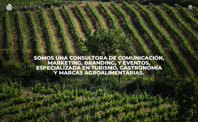 ciento-volando.net screenshot