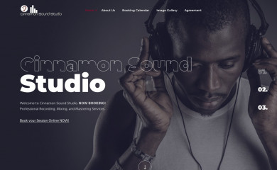 cinnamonsoundstudio.com screenshot