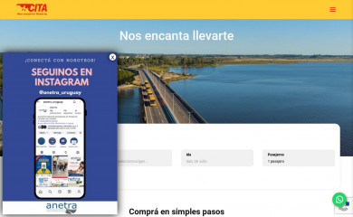cita.com.uy screenshot