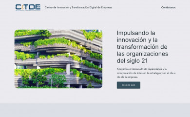 citde.cl screenshot
