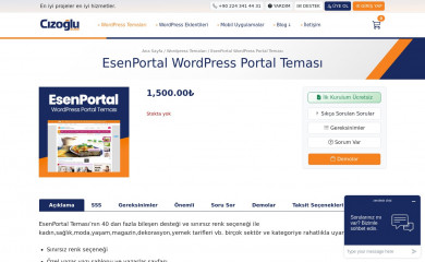 http://cizoglubilisim.com/esenportal screenshot