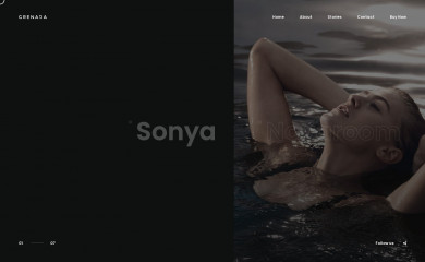 http://clapat.ro/themes/grenada-wordpress/ screenshot