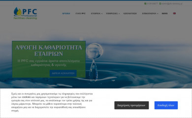 cleaning-pgc.gr screenshot