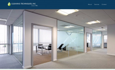 cleaningtechniques.com screenshot
