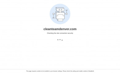 cleanteamdenver.com screenshot