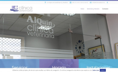 clinicaalquin.es screenshot