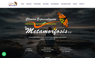 clinicametamorfosis.com.mx screenshot