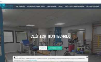 clinicamontecarlotorrent.com screenshot