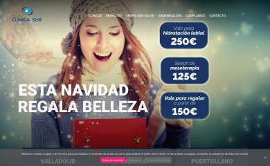 clinicasur.es screenshot