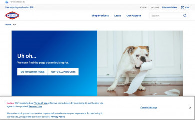 clorox.co.uk screenshot