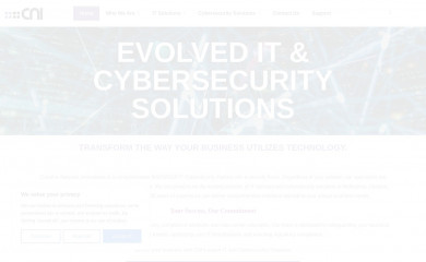 cniweb.net screenshot