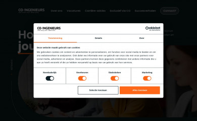 co-ingenieurs.nl screenshot