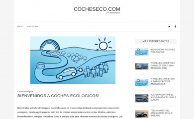 cocheseco.com screenshot