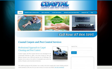 coastalcarpets.co.nz screenshot