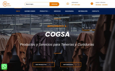 cogsa.com screenshot