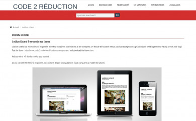 Codium Extend screenshot
