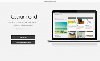 Codium Grid screenshot